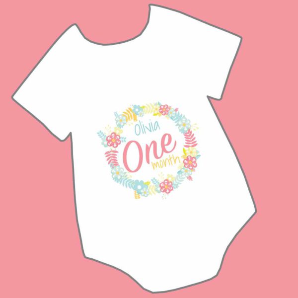 Monthly onesies hot sale set